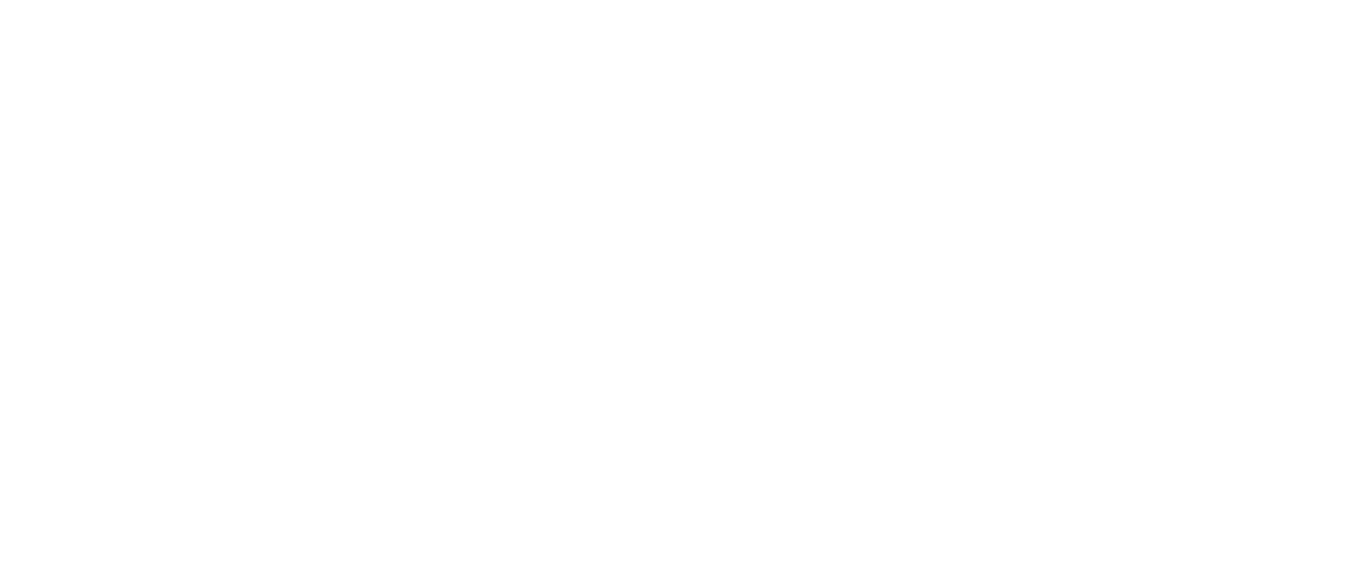 Organisation Logo