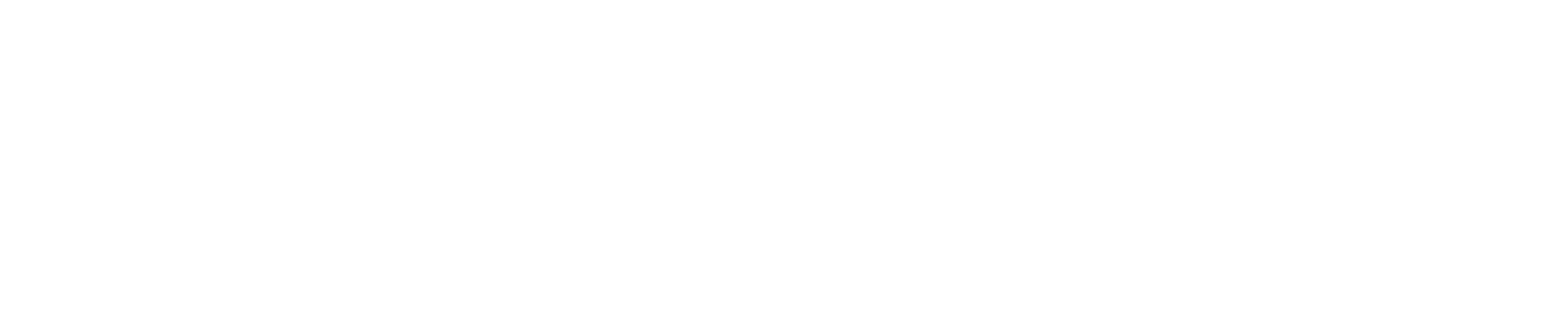 Organisation Logo