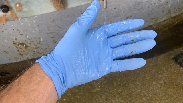 <p>Make sure you don’t get milk on your gloves.</p>
