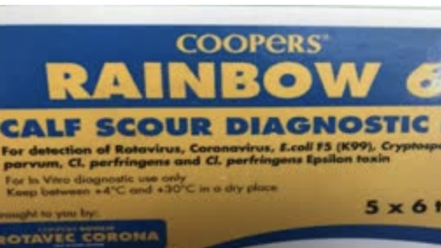 <p>If the calf is running a temperature or you have diagnosed bacterial involvement antibiotic will be required. I will usually use a trimethaprim sulphur  and tetracycline in combination.</p>
