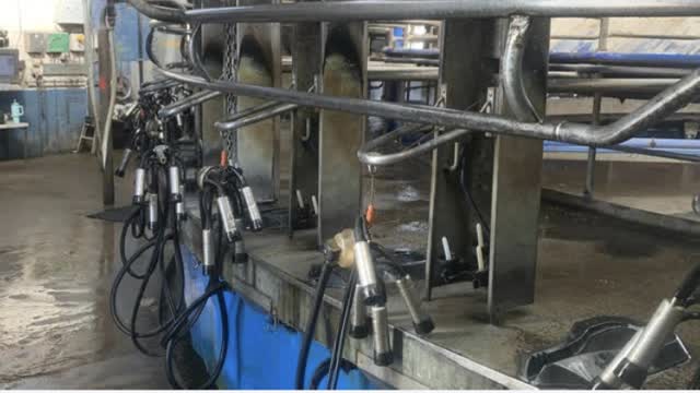 <p>You’ll be shown around the dairy so you can become familiar with all the equipment. Make sure you read the Knowby on terminology before you come in.</p>