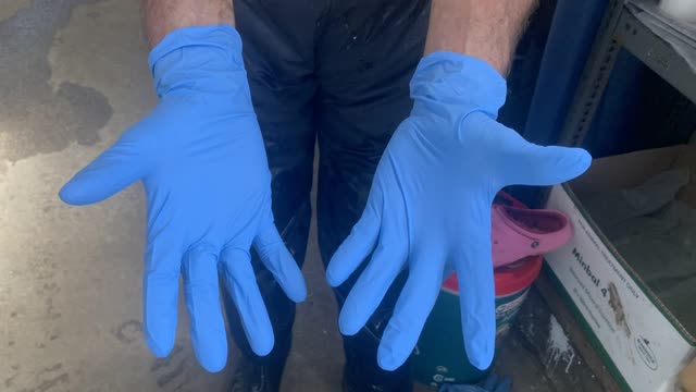 <p>Sick calves are always a risk to human health.
Wear gloves.
Wash hands thoroughly after.</p>