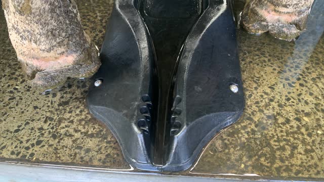 <p>make sure the platform is clean like this.</p>
