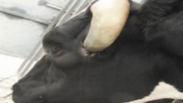 <p>They cannot be distressed or injured.</p>