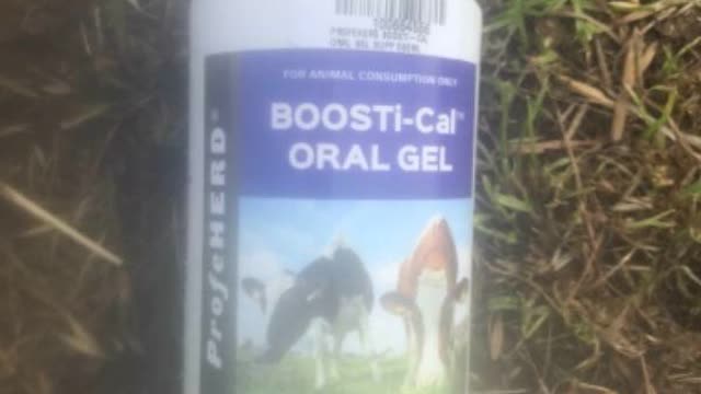 <p>Use oral calcium as well to provide long acting calcium to prevent relapses.</p>