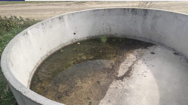 <p>Cows must never be left thirsty or hungry.</p>
