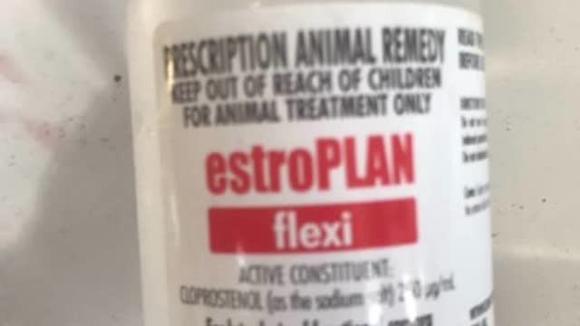 <p>Estroplan is a prostaglandin.
DOSE 2 ML ( this is critical ) RED BOTTLE
THIS DRUG SHOULD NOT BE HANDLED BY ASTHMATICS OR PREGNANT WOMEN</p>