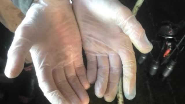 <p>Always wear gloves.</p>