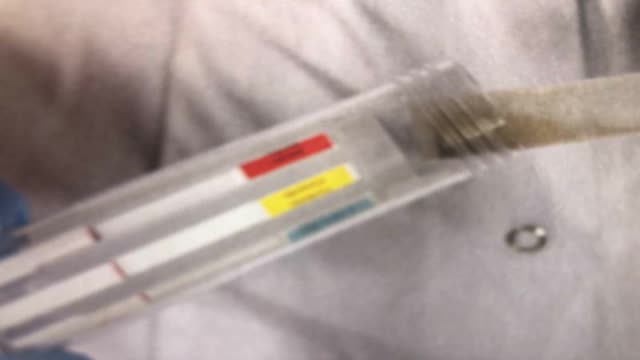 <p>Put the sample tube inside the larger strip tube.</p>