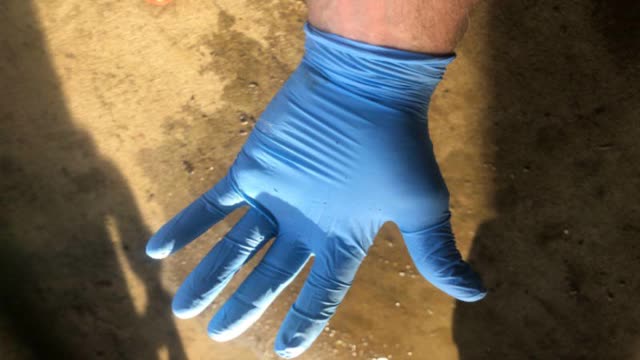 <p>Always wear gloves</p>