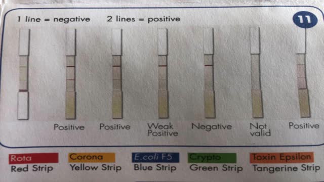 <p>Read results as per diagram.</p>