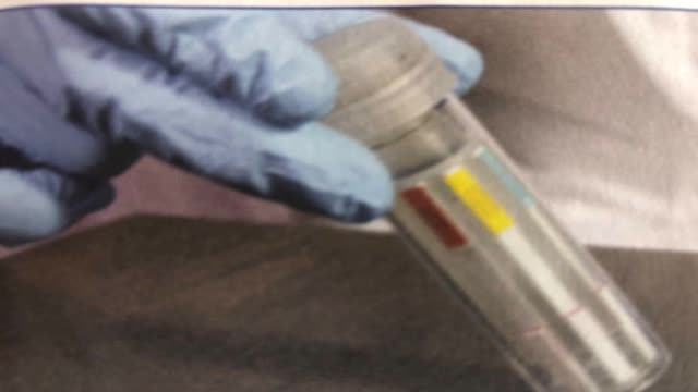 <p>If migration stops tap the tube on a hard surface.</p>