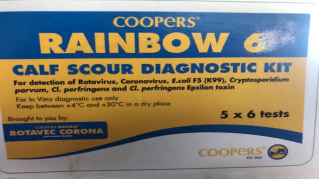 <p>Coopers have a Rainbow 6 calf scour kit.</p>