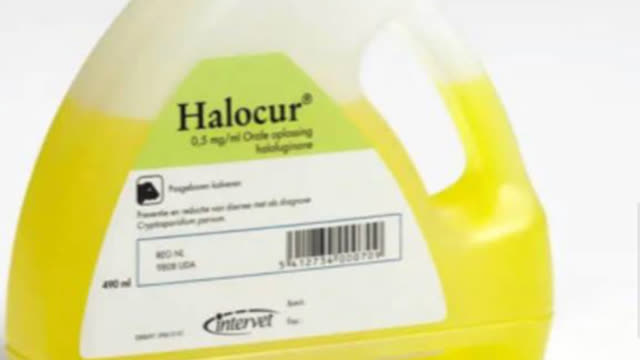 <p>Halocur is used to prevent and treat crypto.
It reduces oocyst shedding.
MEAT WH 28 days.</p>