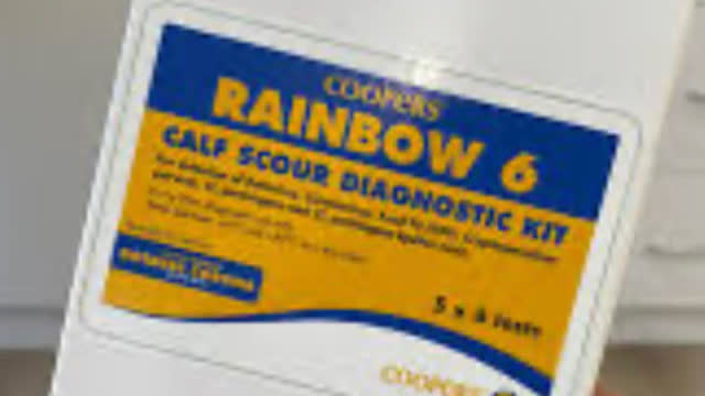 <p>Diagnose with Rainbow 6 Scour Test Kit</p>