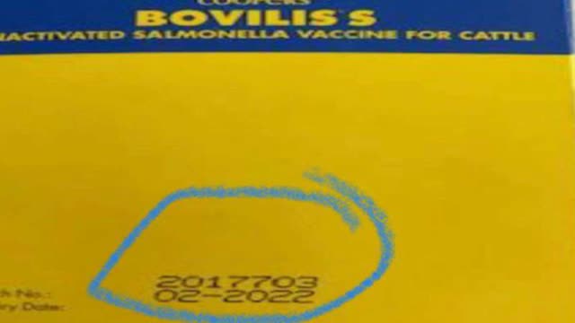 <p>Mishandling of vaccines can release endotoxins from the cell walls.
STORE CORRECTLY
DON'T OVER SHAKE
DON'T USE OUT OF DATE VACCINE</p>
