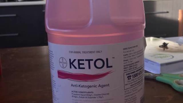 <p>Nurse with water, feed and ketol</p>
