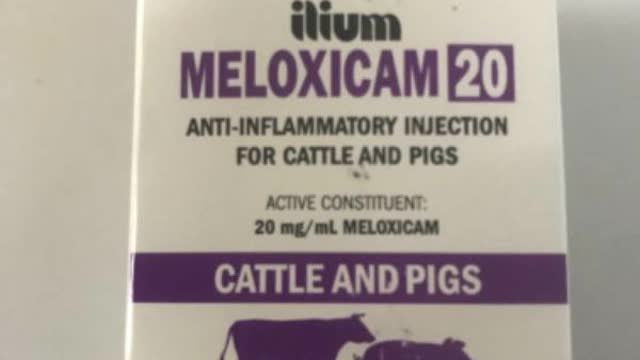 <p>Treat with meloxicam.
12-15ml preferably in the vein or second best under skin ONCE.
With holding milk 6 days, meat 8 days</p>