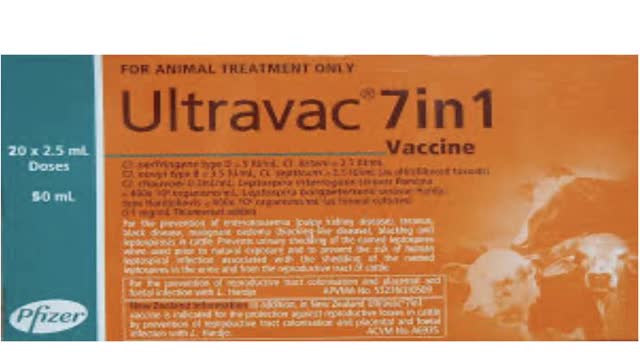 <p>Used to prevent Leptospirosis and clostridial diseases in cattle.</p>