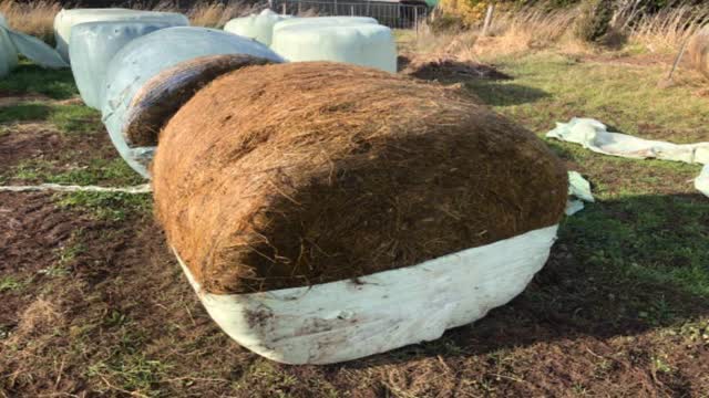 <p>Cut the wrap off the top of the first bale like this.</p>