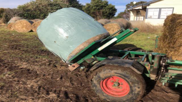 <p>Pick up the second bale carrying like this.</p>