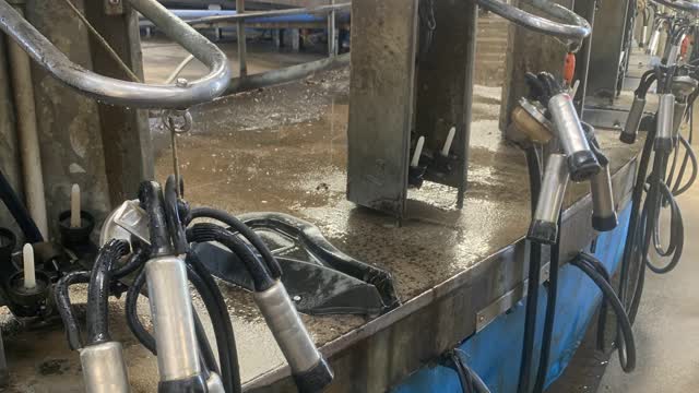 <p>The <strong>Platform</strong> is the concrete circle the cows walk onto to get milked.</p>