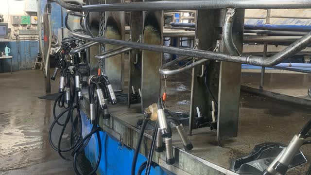 <p>A <strong>Rotary Shed</strong> is circular and the cows get on, and go around to get milked like a horizontal Ferris wheel.</p>