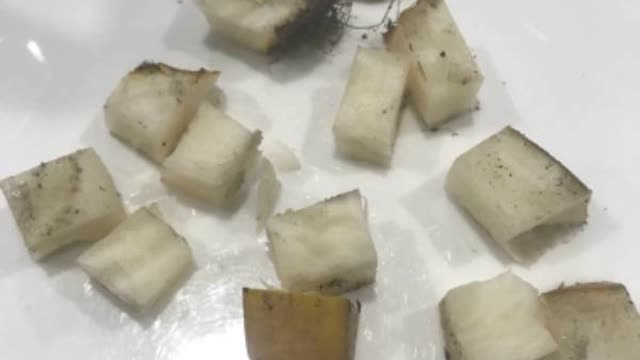<p>Take 2 beet home and cut into 1cm cubes.
Weigh out 100g worth.</p>