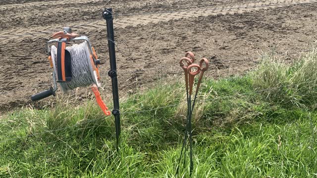 <p>Once you reach the reel put the spare pig tails in the ground on the farm side of the fence to where the cows will be.</p>