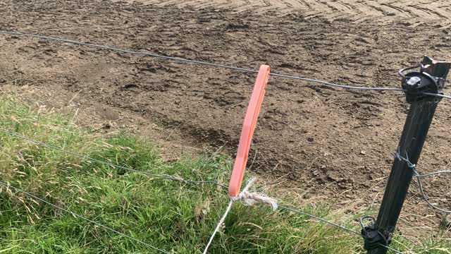 <p>Now hook the insulated hook on the reel wire onto the fence. The insulation stops electricity going down the wire while you put up the fence.</p>