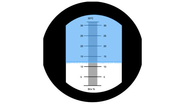 <p>Look into refractometer and you'll see a dark and light section.
The line where they join is the reading ( here about 12 )
It needs to read above 22 Brix to be good quality.</p>
