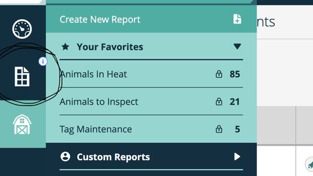 <p>Open the reports tab ( circled ) and select Custom Reports.</p>