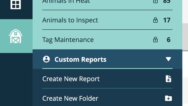 <p>You can create a new report or a new folder.
Choose new report.</p>