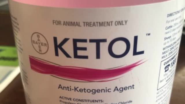 <p>Follow up with oral Ketol.</p>