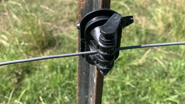 <p>Now fix the fence.</p>
