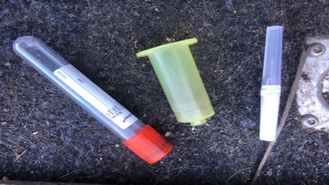 <p>You need red tubes, vacutainer needles and holder.</p>