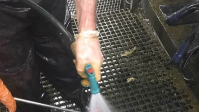 <p>Keep the checking device clean between cows.
I find having a running hose beside you the best like this.</p>