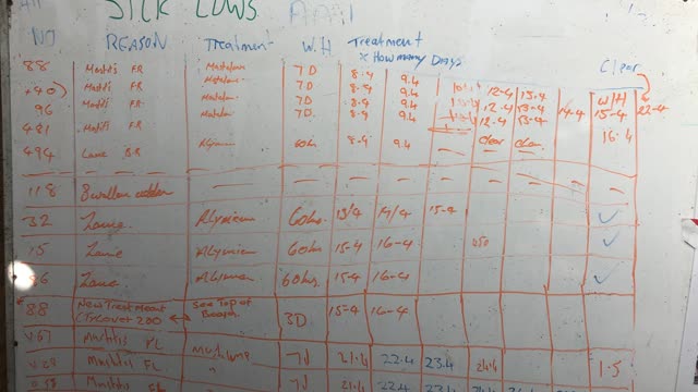 <p>Some farms simply record cows on a whiteboard initially.</p>
