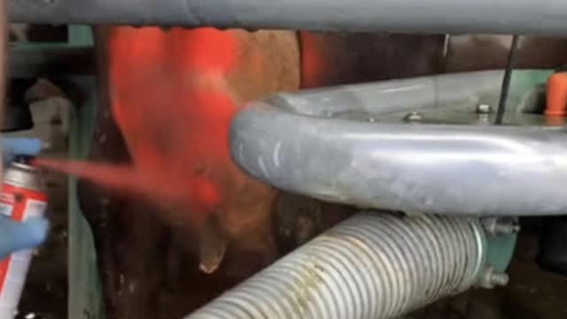 <p>Identify the cow with paint so everyone knows the milk from this cow can't go into the vat.
Every farm will have a standard protocol around how this is done.
RED usually means "on treatment" and "withhold milk".</p>

