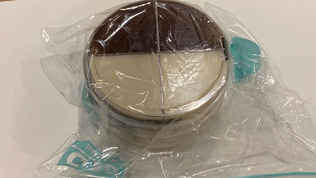 <p>Put plates in a ziplock bag. Expell as much air as possible.</p>