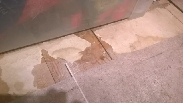 <p>Wet any asbestos paper backing as you lift the flooring.</p>
