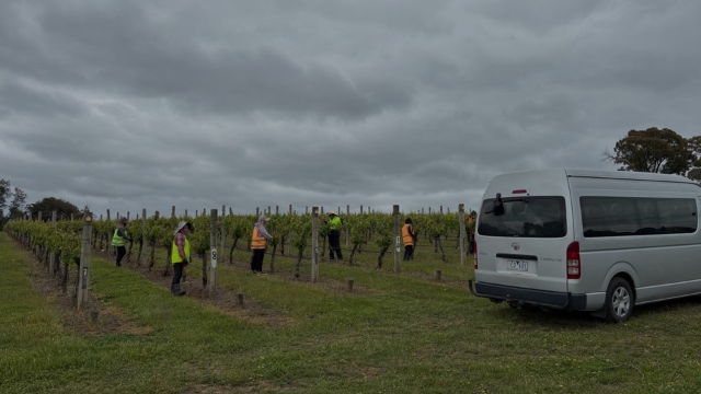 <p><strong>Health &amp; Safety Policy</strong></p><p>Chandon aims to provide a safe workplace for everyone. While working here, please:</p><ul><li><p>Work safely.</p></li><li><p>Protect other people.</p></li><li><p>Protect the environment.</p></li><li><p>Follow all instructions.</p></li><li><p>Never work if you are affected by drugs or alcohol.</p></li><li><p>Bullying, harassment, and violent behaviour are not allowed.</p></li><li><p>Smoking is only allowed in designated areas – please ask your supervisor.</p></li></ul><p></p>