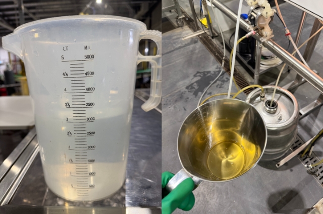 <p><strong><em>(PPE Chemical gloves & safety glasses required)</em></strong></p><p></p><ul><li><p>Pour <strong>ALLEGRO </strong>into the<strong> CIP KEG</strong>.</p></li><li><p>Pour 3L of <strong>HOT</strong> water into the <strong>CIP KEG.</strong></p></li><li><p>After the chemical is poured into the <strong>CIP KEG,</strong> rinse the chemical jug out with hot water and tip down the drain.</p></li><li><p>Return chemical jug to chemical area behind <strong>TIRAGE.</strong></p></li></ul><p></p>