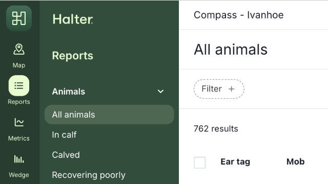 <p>Choose reports and all animals.</p>