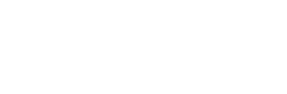 Organisation Logo