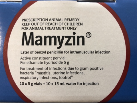 <p><strong>Please READ/ UNDERSTAND AND CONVEY TO STAFF information on correct usage and click the complete step.</strong></p><p></p><p><strong>USE</strong></p><p>For treatment of environmental mastitis primarily. Go to treatment for multiple quarters. Go to treatment for heifer mastitis at calving.</p><p><strong>DOSE</strong></p><p>Mix one vial (5g) and treat once daily in the muscle. Repeat daily for 3 - 5 days stopping at a maximum of 5.</p><p><strong>WITH HOLD</strong></p><p>Withholding periods. Milk 3 days on twice a day milking. Alternative milking intervals will need a variance in withhold. Meat 5 days. Don’t feed milk to sale calves.</p>