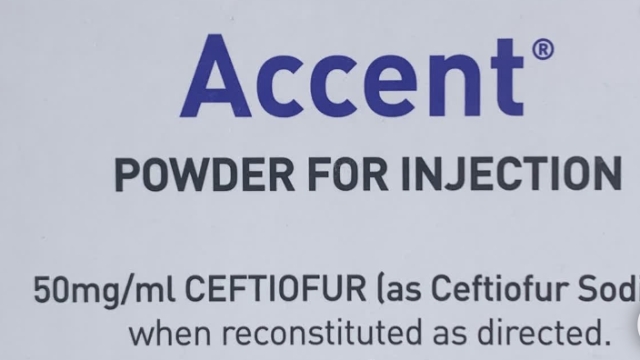 <p><strong>Please READ/ UNDERSTAND AND CONVEY TO STAFF information on correct usage and click the complete step.</strong></p><p></p><p><strong>USE</strong></p><p>ONLY for treatment of footrot in dairy cows.</p><p><strong>DOSE</strong></p><p>10 ml per 500kg cow. Treat for 3-5 days. ONLY FOR ADMINISTRATION IN THE MUSCLE.</p><p><strong>WITH HOLD</strong></p><p>Milk nil withhold. Meat 1 days. Don’t feed milk to sale calves.</p>