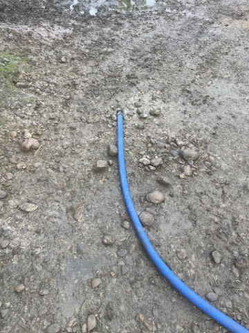 <p>Put hose in cafeteria</p>