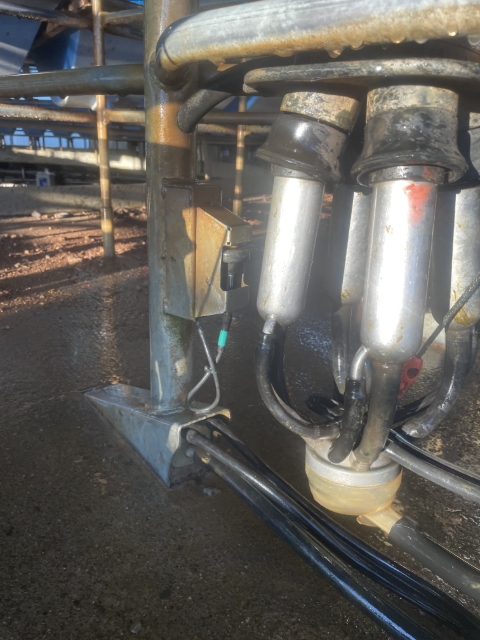 <p>At the end of milking hang up the cups and flip the switch to lock it down</p>