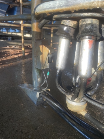 <p>After milking hang up cups-remember to lock down the latch</p>